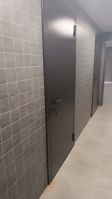 Однопольные двери Однопольные двери