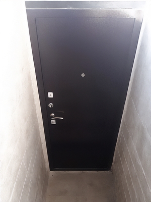 Порошковая стальная дверь