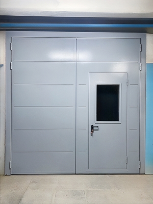 Ворота с дверью и стеклом